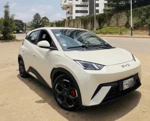 BYD Seagull Premium Electric 2025