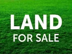 230 Sqm Land for Sale Shola