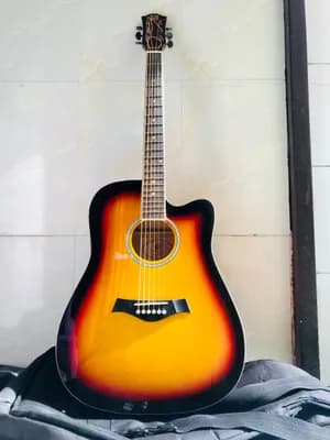 Vangao Semi Acoustic Guitar