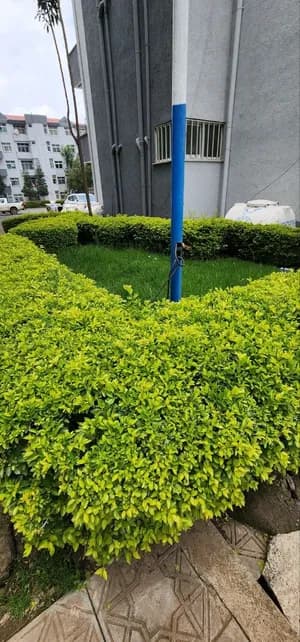 3 Bedroom 130sqm Ground Floor Apartment