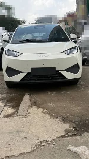 BYD Seagull SMART DRIVE 2025