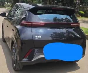 BYD Seagull 2024