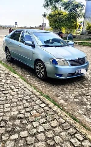 Model 2007 automatic