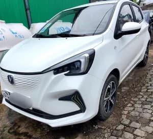 Changan Benben E-Star