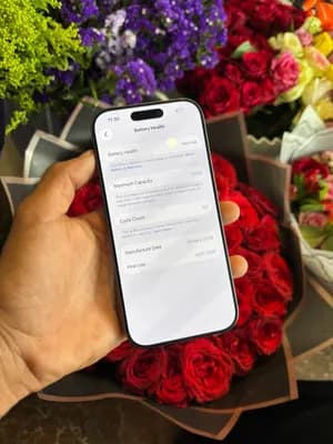 Apple iPhone 17 256GB