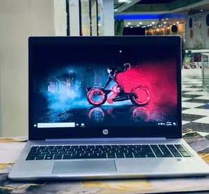 HP ProBook 450 G7 Core i5 10th Gen