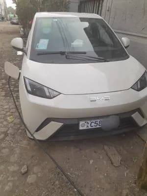 BYD Seagull 2025