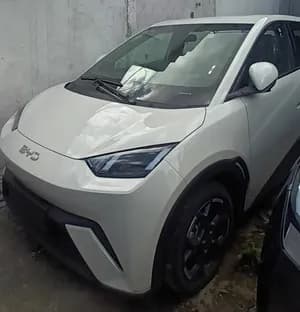 BYD Seagull 2024 Electric Hatchback