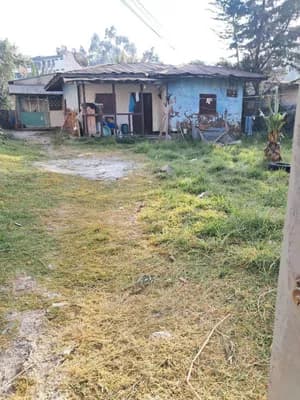 464 Sqm Plot for Sale Megenagna