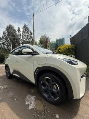 BYD Segul 2024