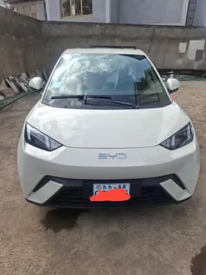 BYD Seagull 2025 Automatic Single Motor FWD