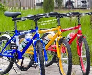 Creeper 20 Inch Kids Bike
