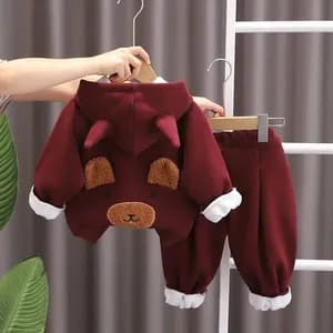 Unisex thick velvet hoodie and pant set