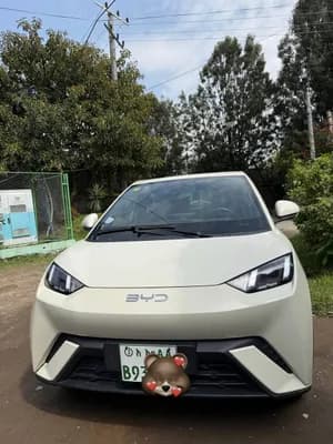BYD Seagull 2025 152KW