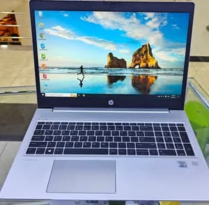 HP ProBook 450 G7 i5 Laptop