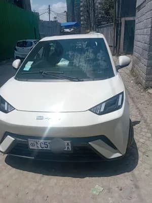 2024 BYD Seagull Electric Automatic