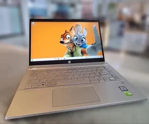HP Pavilion 14 i5 8GB Laptop