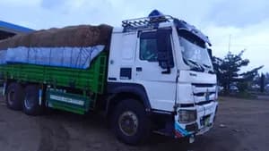 Sino Truck Kasoni 2015