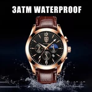 POEDAGAR Men's Luxury Watch