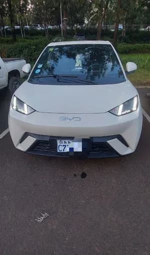 BYD Seagull 2025