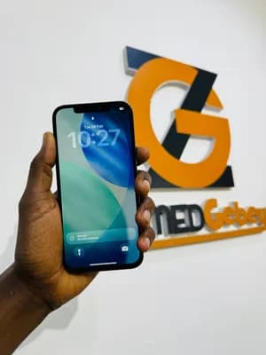 iPhone 12 Pro Max 512GB