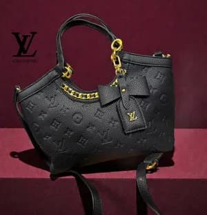 Louis Vuitton Black Handbag