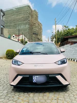 BYD Segull 2025 405km