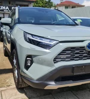 Toyota RAV4 Hybrid 2024