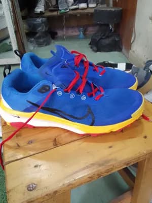 Nike Blue Sneakers Size 44