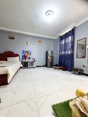 Studio Condominium in Bole Arabsa