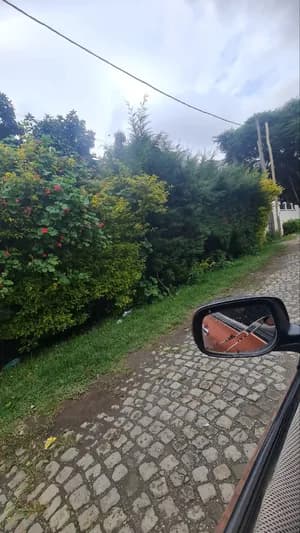 ቪላ