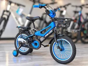 Phillips Kids Bike 16 Inch