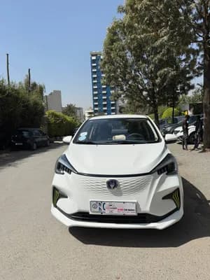 E-Star 2023 Electric Car