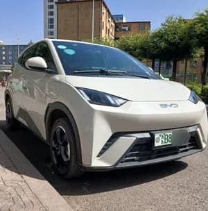 BYD Seagull 2024 Electric