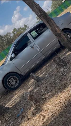 COROLLA