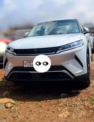 BYD YUAN UP SMART 2025