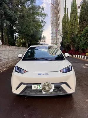BYD Seagull Premium Electric 2024