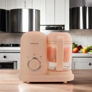 Baby Food Grinder