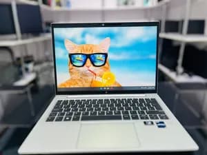 HP EliteBook i7 12th Gen Laptop