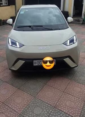 BYD Segull 2024 Electric