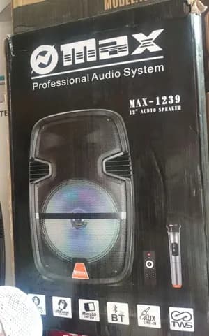 12 Inch Wireless Bluetooth Speaker