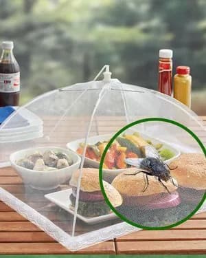 Foldable Food Cover Mesh