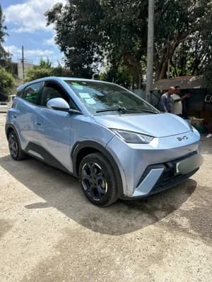 BYD Segul 2024 Electric Automatic
