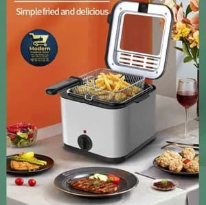 Electric Deep Fryer