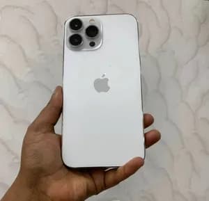 iPhone 13 Pro Max 256GB