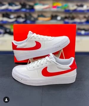 Nike sb court