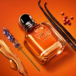 Artemios Stranger With You 100ml