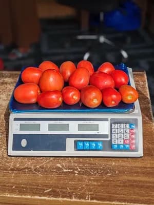 ዲጅታል ሚዛን 40ኪሎ ግራም