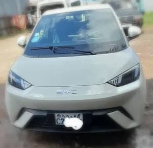 BYD Seagull Premium Electric 2024