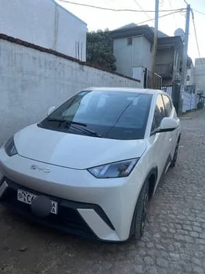 BYD Seagull Premium 2025